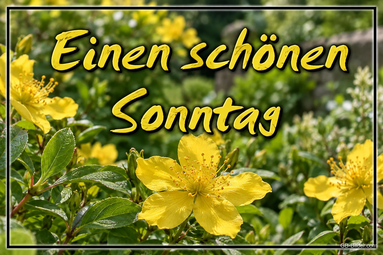Gelbe Blüten im Garten, Text: Einen schönen Sonntag