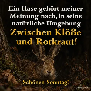 Feldhase im Unterholz, lustiger Spruch: zwischen Klöße und Rotkraut. Schönen Sonntag!