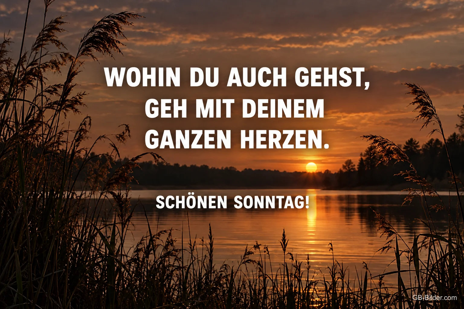 Sonnenuntergang über einem See mit Schilf, Spruch: Wohin du auch gehst, geh mit deinem ganzen Herzen.