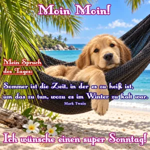 Golden-Retriever-Welpe liegt in einer Hängematte am Strand, Text: Moin Moin! Mein Spruch des Tages: Sommer ist die Zeit, in der es zu heiß ist, um das zu tun, wozu es im Winter zu kalt war. Ich wünsche einen super Sonntag! – Mark Twain