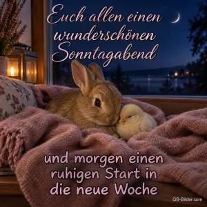 Kaninchen und Küken kuscheln auf einer Decke am Fenster, Text: Euch allen einen wunderschönen Sonntagabend und morgen einen ruhigen Start in die neue Woche