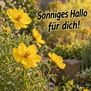 Gelbe Blüten im Garten, Text: Sonniges Hallo für dich!