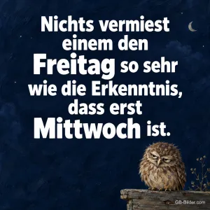 Grimmige Eule auf einem Ast unter dem Mond, Text: Nichts vermiest einem den Freitag so sehr wie die Erkenntnis, dass erst Mittwoch ist.