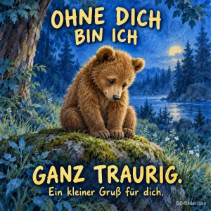 Bärenjunges sitzt traurig auf einem Felsen am nächtlichen See, Text: OHNE DICH BIN ICH – GANZ TRAURIG. Ein kleiner Gruß für dich.