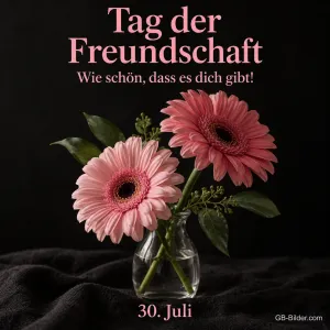 Rosa Gerbera in der Vase, Text: Tag der Freundschaft