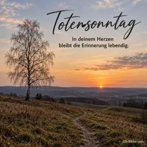 Einzelne Birke auf einem Hügel im Sonnenuntergang, Text: Totensonntag – In deinem Herzen bleibt die Erinnerung lebendig.