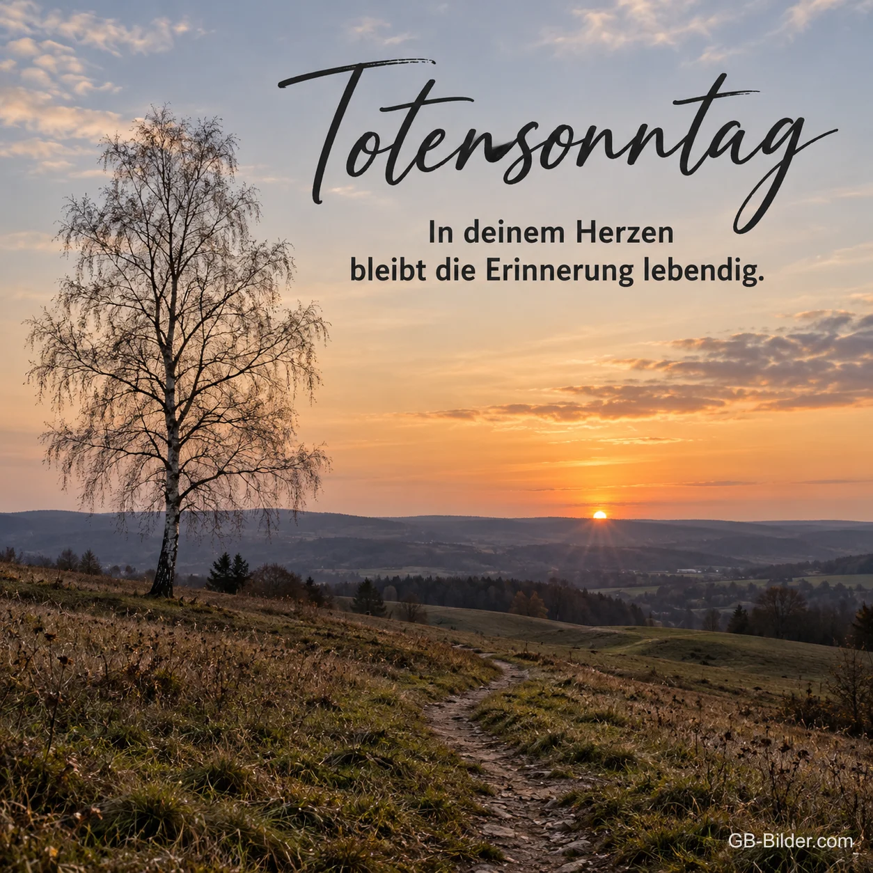 Einzelne Birke auf einem Hügel im Sonnenuntergang, Text: Totensonntag – In deinem Herzen bleibt die Erinnerung lebendig.