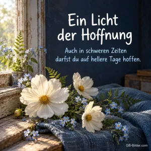 Weiße Blüten am Fenster, Text: Ein Licht der Hoffnung