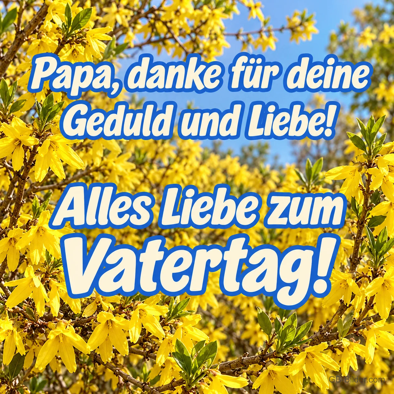Gelbe Forsythienblüten vor blauem Himmel, Text: Papa, danke für deine Geduld und Liebe! – Alles Liebe zum Vatertag!