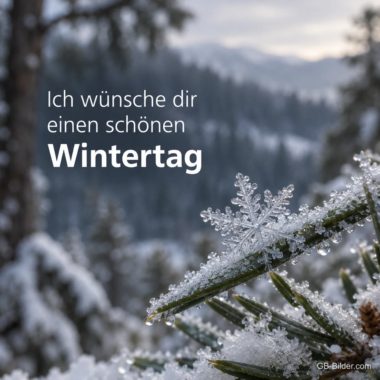 Schneeflocke auf einem Tannenzweig vor verschneitem Wald, Text: Ich wünsche dir einen schönen Wintertag Schneeflocke auf einem Tannenzweig vor verschneitem Wald, Text: Ich wünsche dir einen schönen Wintertag