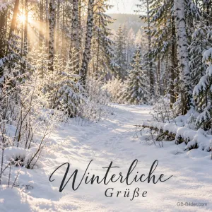 Sonnenstrahlen im verschneiten Wald, Text: Winterliche Grüße