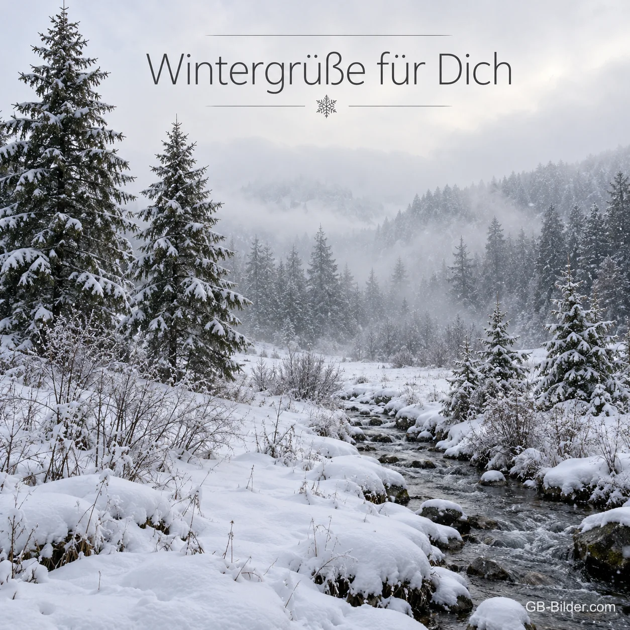 Bach im verschneiten Tannenwald, Text: Wintergrüße für dich Bach im verschneiten Tannenwald, Text: Wintergrüße für dich