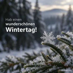 Schneeflocke auf einem Tannenzweig, Text: Hab einen wunderschönen Wintertag!