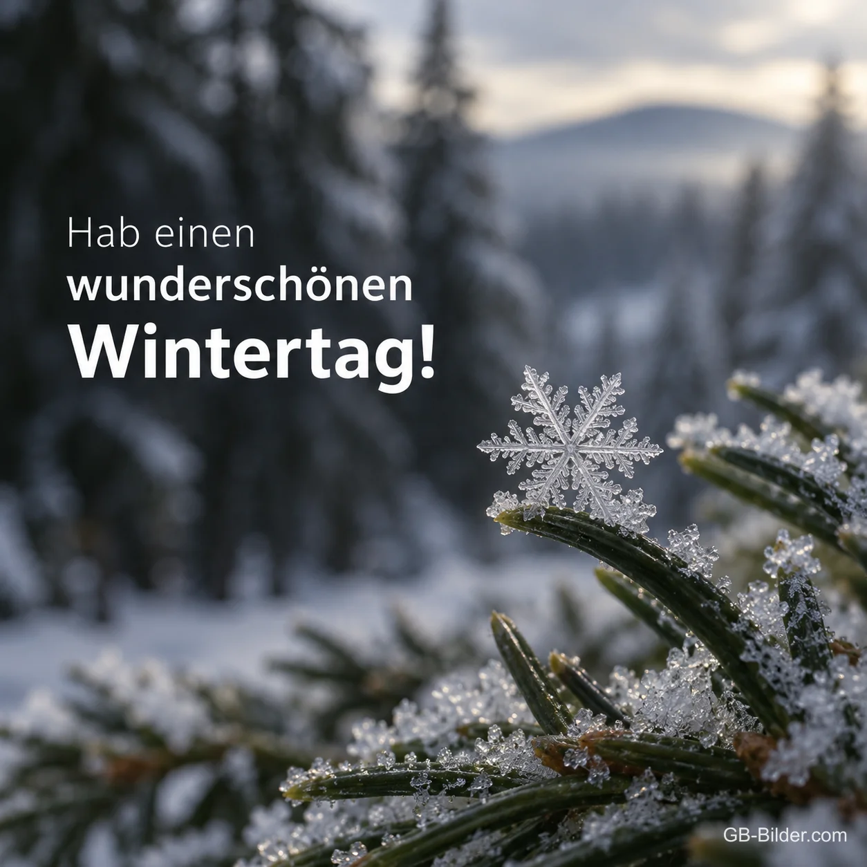 Schneeflocke auf einem Tannenzweig, Text: Hab einen wunderschönen Wintertag! Schneeflocke auf einem Tannenzweig, Text: Hab einen wunderschönen Wintertag!