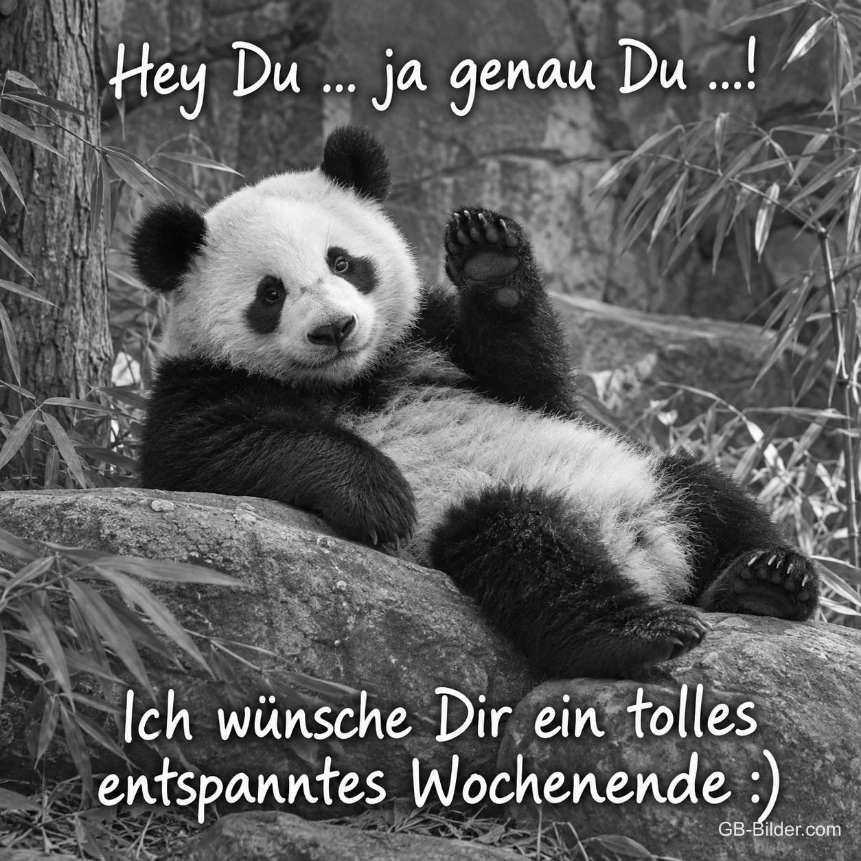 Winkender Panda, Text: Ich wünsche Dir ein tolles entspanntes Wochenende, Text: Hey Du