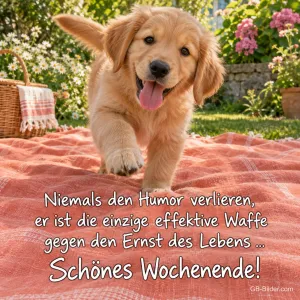 Golden-Retriever-Welpe läuft fröhlich über eine Picknickdecke, Text: Niemals den Humor verlieren, er ist die einzige effektive Waffe gegen den Ernst des Lebens … Schönes Wochenende!