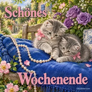 Zwei Kätzchen spielen mit einer Perlenkette auf einem blauen Samtkissen zwischen Rosen, Text: Schönes Wochenende