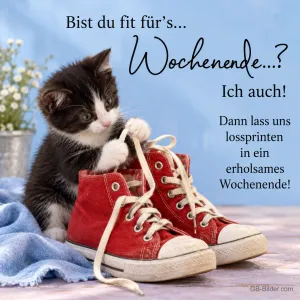 Kätzchen mit Turnschuhen, Text: Bist du fit für's
