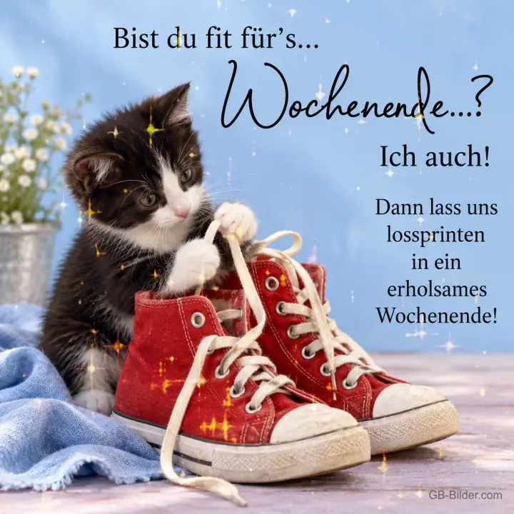 Kätzchen mit Turnschuhen, Text: Bist du fit für's Kätzchen mit Turnschuhen, Text: Bist du fit für's