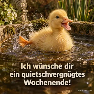 Entenküken planscht fröhlich im Wasser, Text: Ich wünsche dir ein quietschvergnügtes Wochenende!