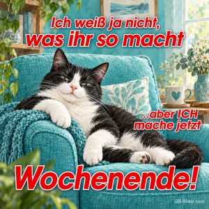 Entspannter Kater auf einem türkisen Sessel, Text: Ich weiß ja nicht, was ihr so macht, aber ICH mache jetzt Wochenende!
