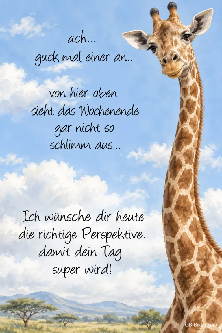Giraffe vor blauem Himmel, lustiger Spruch, Text: ach