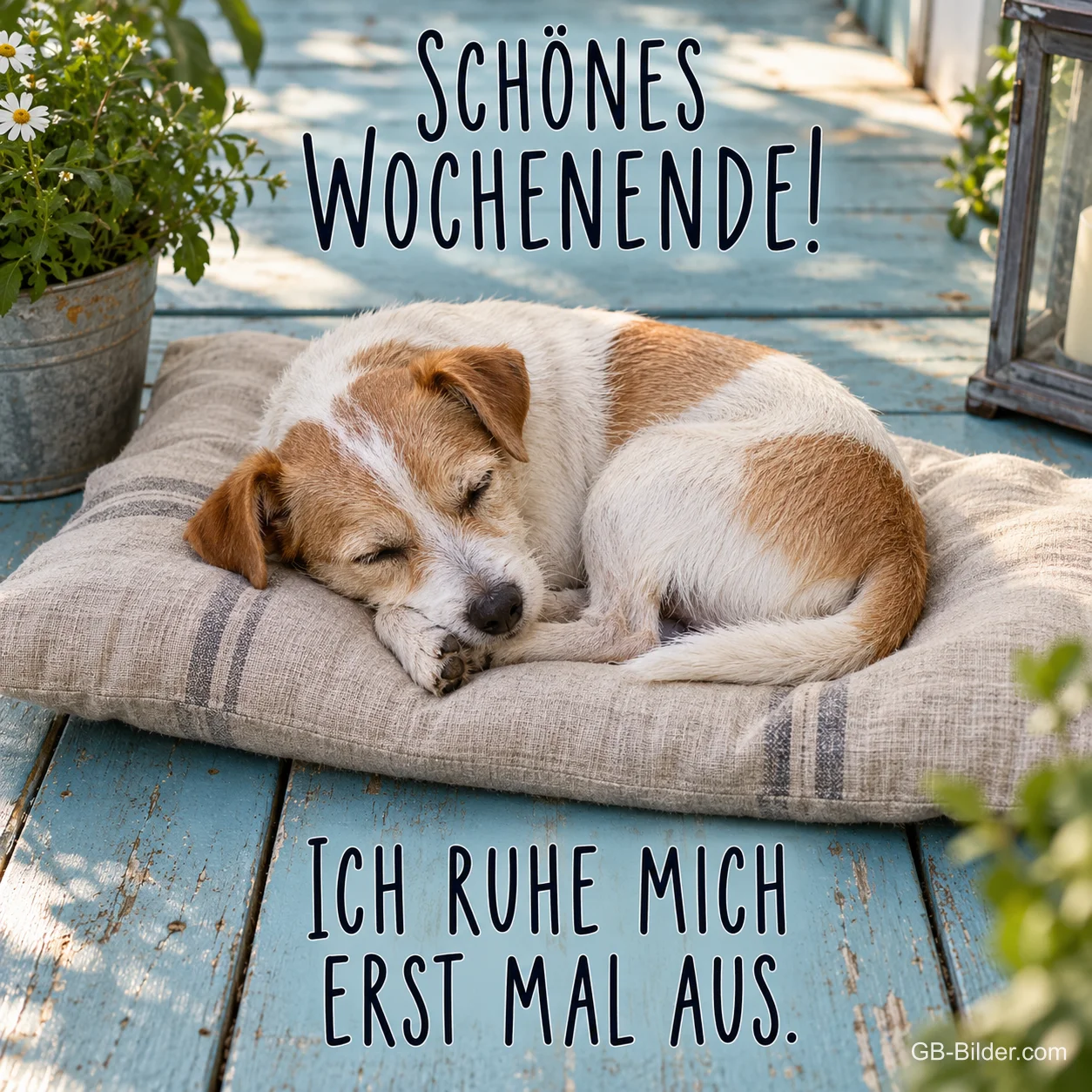Jack Russell schläft auf einem Kissen auf der Veranda, Text: SCHÖNES WOCHENENDE! ICH RUHE MICH ERST MAL AUS.
