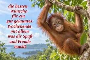 Junger Orang-Utan am Ast, Text: die besten Wünsche für ein gut gelauntes Wochenende mit allem was dir 