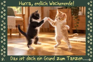 Tanzende Kätzchen, Text: Hurra, endlich Wochenende