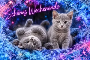 Zwei graue Kätzchen spielen auf einer Decke im Eiskristallrahmen, Text: Schönes Wochenende
