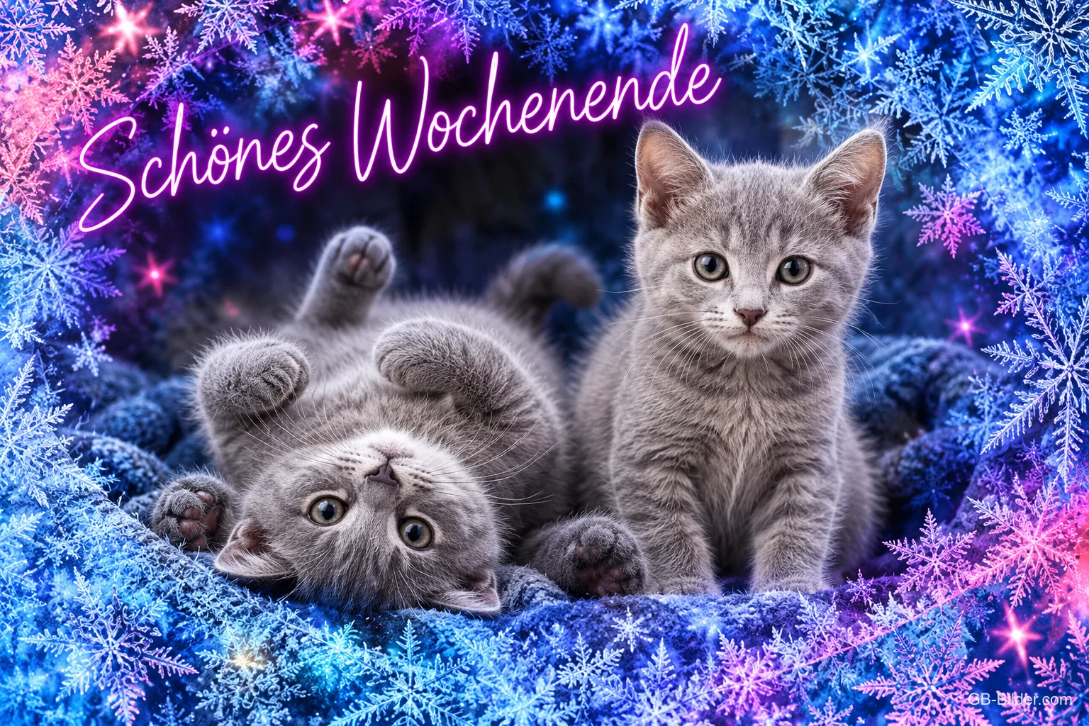Zwei graue Kätzchen spielen auf einer Decke im Eiskristallrahmen, Text: Schönes Wochenende