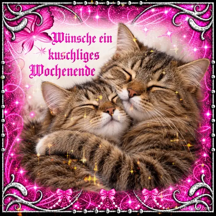 Zwei getigerte Katzen kuscheln mit geschlossenen Augen, Text: Wünsche ein kuschliges Wochenende