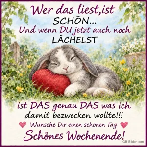 Kaninchen mit rotem Herz, Text: Wer das liest, ist SCHÖN