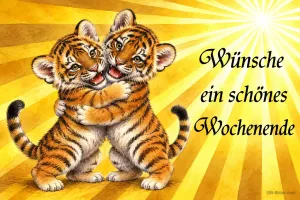 Zwei Tigerbabys umarmen sich im Sonnenlicht, Text: Wünsche ein schönes Wochenende