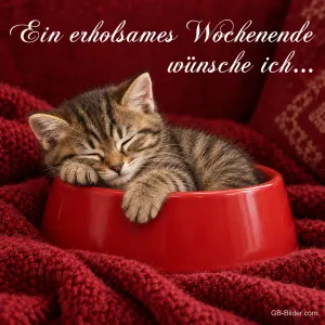 Kätzchen schläft in einem roten Napf auf einer Strickdecke, Text: Ein erholsames Wochenende wünsche ich…