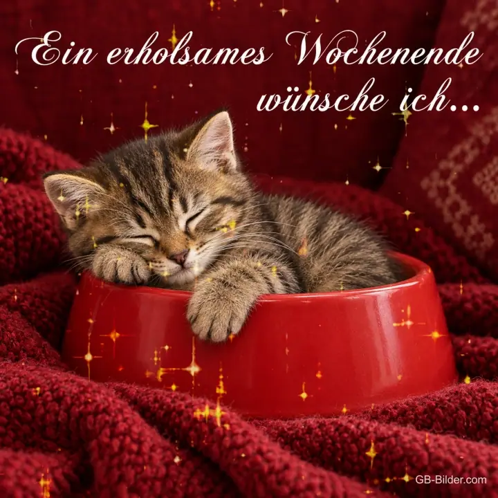 Kätzchen schläft in einem roten Napf auf einer Strickdecke, Text: Ein erholsames Wochenende wünsche ich…