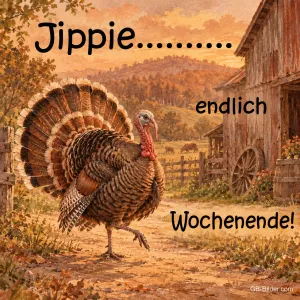 Truthahn läuft über einen Bauernhof im Abendlicht, Text: Jippie……… endlich Wochenende!