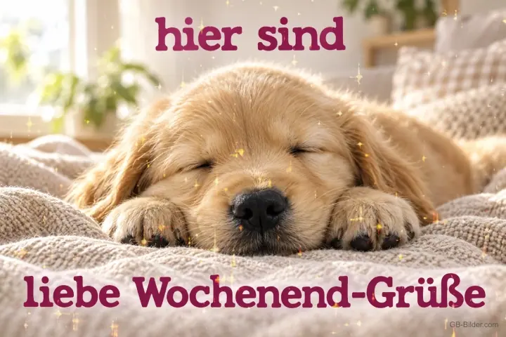 Golden-Retriever-Welpe schläft auf einer Decke, Text: hier sind liebe Wochenend-Grüße