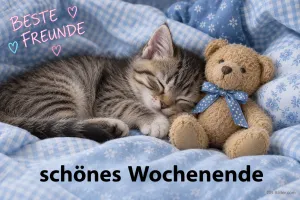 Kätzchen schläft neben einem Teddybären auf einer blauen Decke, Text: Beste Freunde – schönes Wochenende