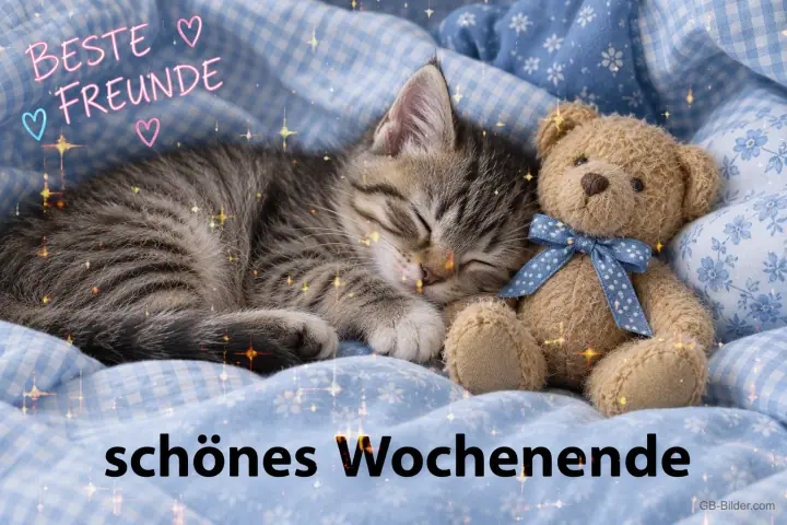 Kätzchen schläft neben einem Teddybären auf einer blauen Decke, Text: Beste Freunde – schönes Wochenende