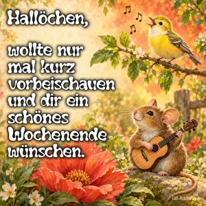 Maus mit Gitarre, Text: Hallöchen, wollte nur mal kurz vorbeischauen und dir ein schönes Woche