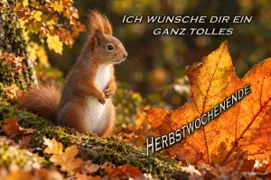 Eichhörnchen zwischen buntem Herbstlaub, Text: ICH WÜNSCHE DIR EIN GANZ TOLLES HERBSTWOCHENENDE