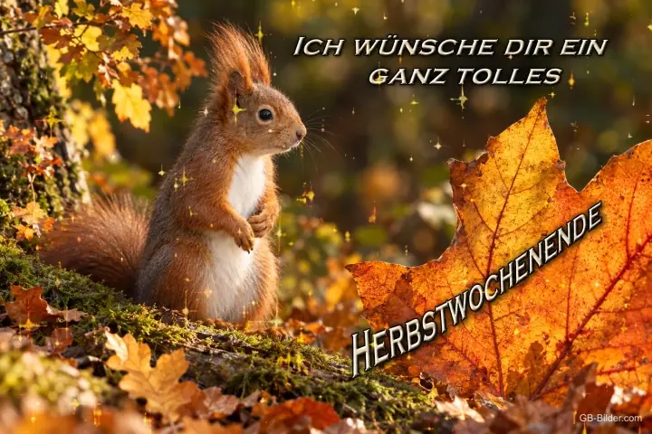 Eichhörnchen zwischen buntem Herbstlaub, Text: ICH WÜNSCHE DIR EIN GANZ TOLLES HERBSTWOCHENENDE
