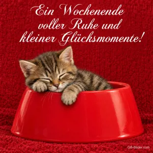 Getigertes Kätzchen schläft in einem roten Napf, Text: Ein Wochenende voller Ruhe und kleiner Glücksmomente!