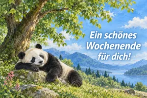 Panda liegt entspannt auf einem Felsen über einem Bergsee, Text: Ein schönes Wochenende für dich!