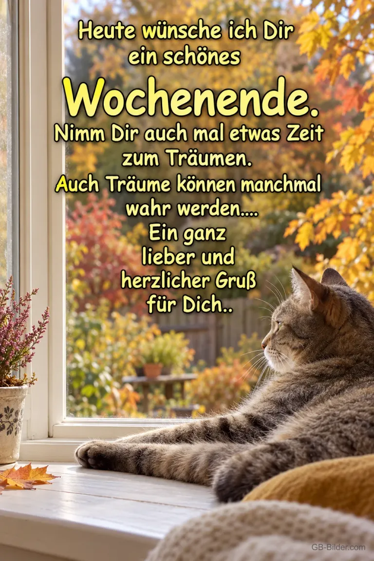 Entspannte Katze am Herbstfenster, Text: Heute wünsche ich Dir ein schönes Wochenende