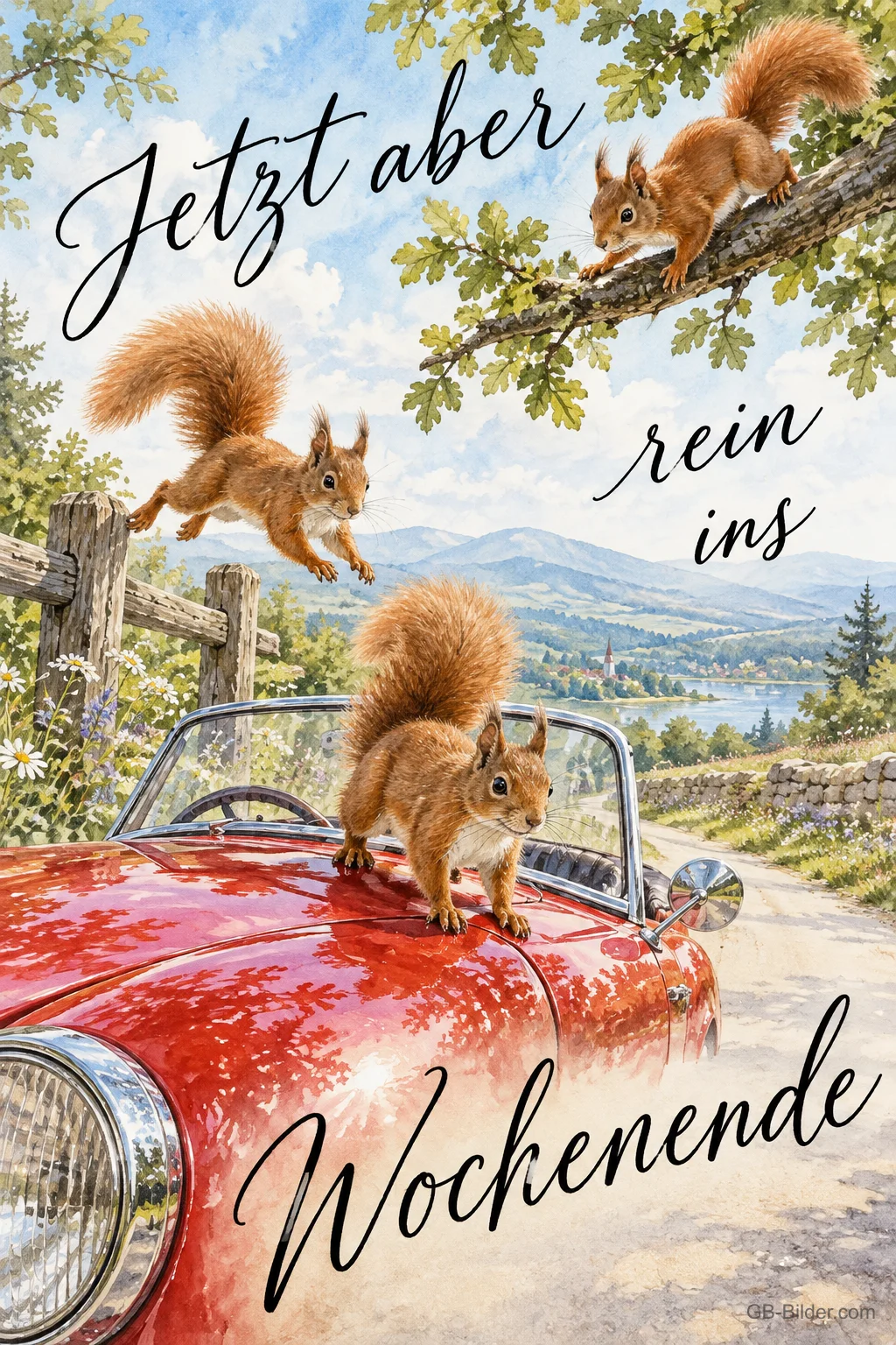 Eichhörnchen im Cabrio, Text: Jetzt aber rein ins Wochenende Eichhörnchen im Cabrio, Text: Jetzt aber rein ins Wochenende