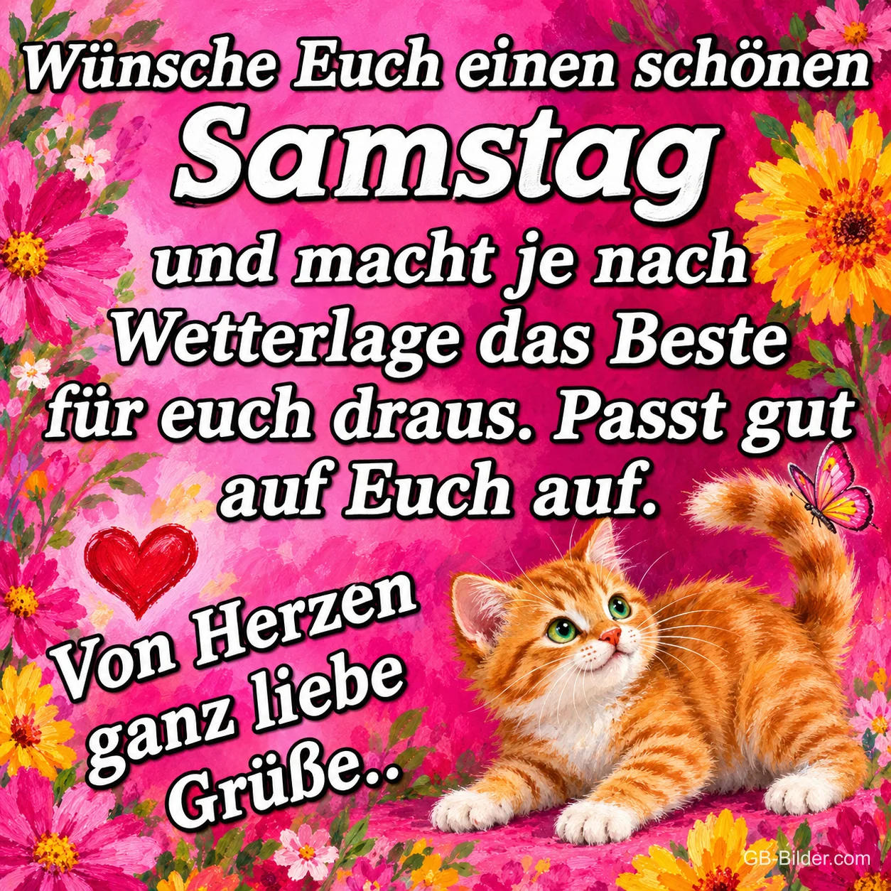 Rotes Kätzchen schaut zu einem Schmetterling zwischen Blumen, Text: Wünsche Euch einen schönen Samstag und macht je nach Wetterlage das Beste für euch draus. Passt gut auf Euch auf. Von Herzen ganz liebe Grüße..