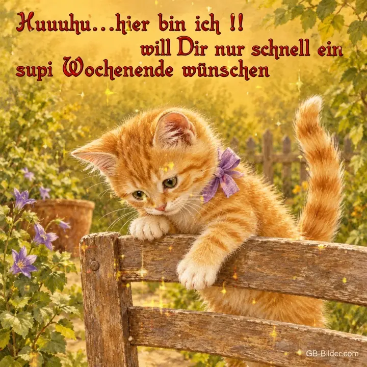 Kätzchen mit Schleife klettert über einen Zaun, Text: Huuuhu, hier bin ich! Will dir nur schnell ein supi Wochenende wünschen
