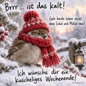 Spatz mit roter Strickmütze und Schal sitzt im Schnee, Text: Brrr … ist das kalt! Geh heute lieber nicht ohne Schal und Mütze raus! Ich wünsche dir ein kuscheliges Wochenende!